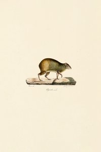  av Jacques Christophe Werner