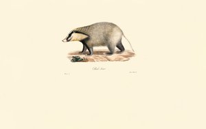  av Jacques Christophe Werner