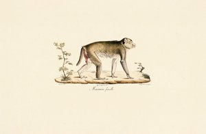  av Jacques Christophe Werner
