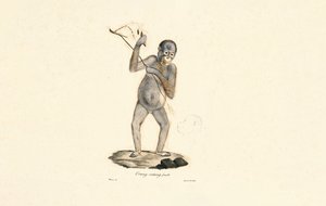  av Jacques Christophe Werner