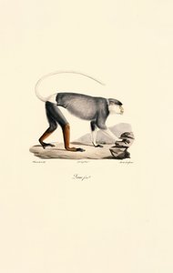  av Jacques Christophe Werner