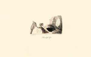  av Jacques Christophe Werner