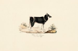  av Jacques Christophe Werner