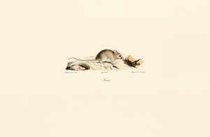  av Jacques Christophe Werner