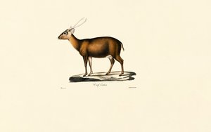  av Jacques Christophe Werner