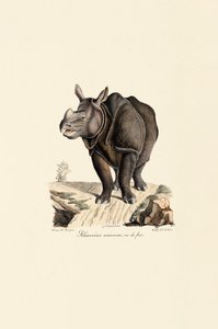  av Jacques Christophe Werner