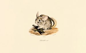  av Jacques Christophe Werner
