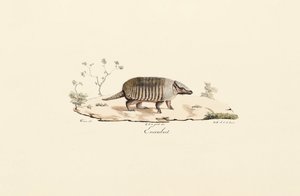  av Jacques Christophe Werner