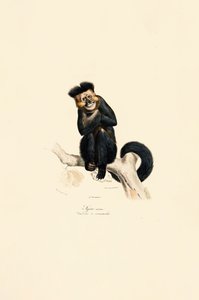  av Jacques Christophe Werner