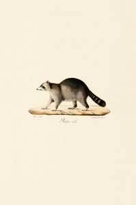  av Jacques Christophe Werner