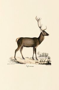  av Jacques Christophe Werner