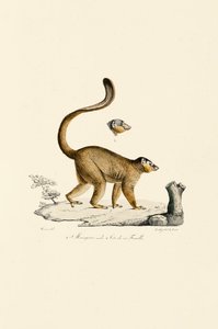  av Jacques Christophe Werner