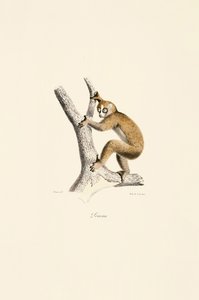  av Jacques Christophe Werner