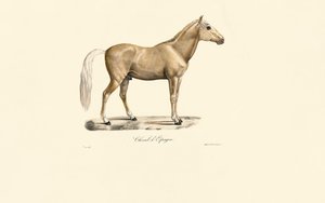  av Jacques Christophe Werner