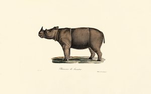  av Jacques Christophe Werner