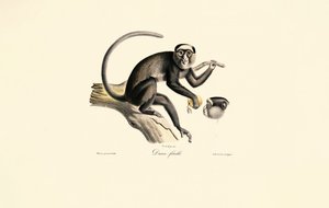  av Jacques Christophe Werner