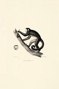  av Jacques Christophe Werner