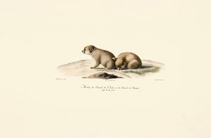  av Jacques Christophe Werner
