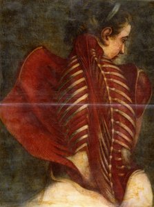 The Flayed Angel, ca. 1745