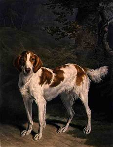 Dash, gravert av Charles Turner (1773-1857), pub. av R. Ackermann Jnr. (mezzotint gravering) av Jacques Laurent (after) Agasse