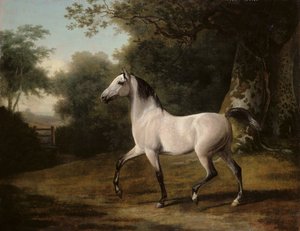 En grå arabisk hingst i et skogkledd landskap av Jacques Laurent Agasse