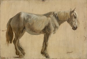Studie av en grå hest (olje på papir) av Jacques Laurent Agasse