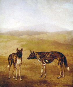 To afrikanske jakthunder (olje på lerret) av Jacques Laurent Agasse