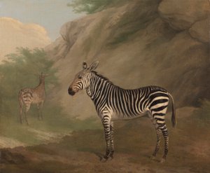 Sebra av Jacques Laurent Agasse