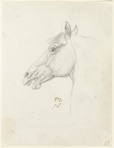 Hestehode av Jacques Louis David