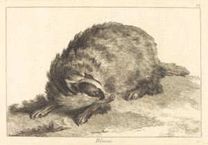 Blereau (Grevling)