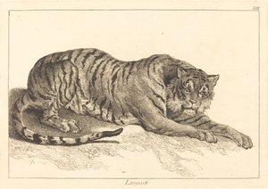Leopard (leopard eller tiger)