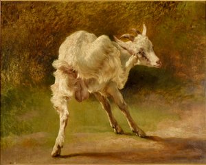  av Jacques Raymond Brascassat