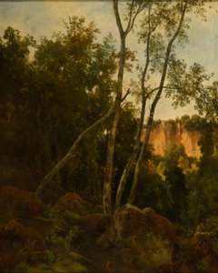  av Jacques Raymond Brascassat
