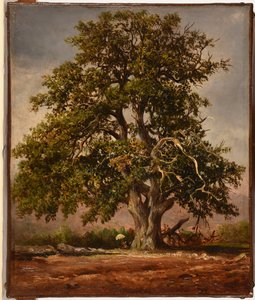  av Jacques Raymond Brascassat