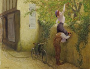 Samler plommer
