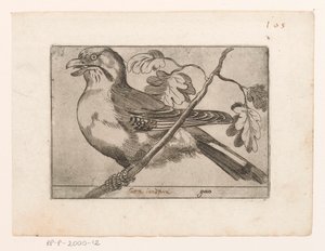Gaai Gaio (tittel på objekt) Vogels (serietittel) av Jacques de Fornazeris (possibly)