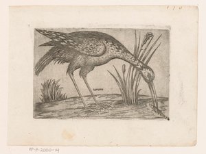 Vogel Tartena (tittel på objekt) Vogels (serietittel) av Jacques de Fornazeris (possibly)