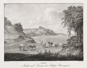 Syrmia, marked og ruinene av Sharengrad slott av Jakob Alt