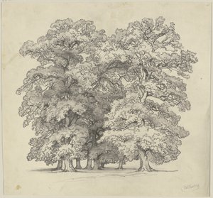  av Jakob Becker