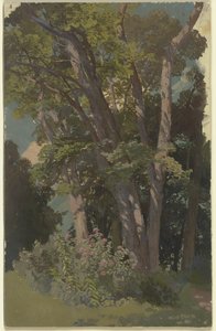 Parkstudie, lysning av Jakob Becker