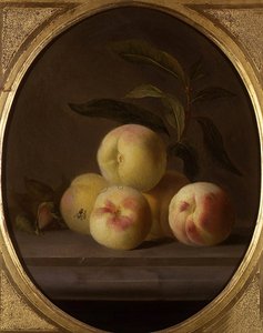 Stilleben av frukt med flue (olje på lerret)