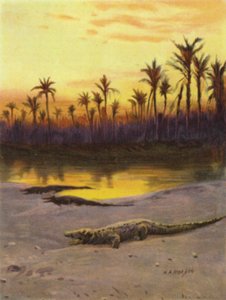 Krokodille (solnedgang) på bredden av øvre Nilen (farge litho)