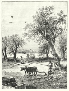 Pløying i en vingård (litho) av James (after) Clark