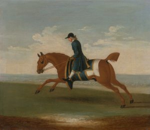 Kastanje veddeløpshest øvet av en trener i en blå frakk (olje på lerret) av James (attr.) Seymour