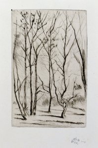 Damskogen av James Abbott McNeill Whistler