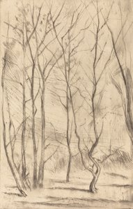 The Dam Wood, 1875. av James Abbott McNeill Whistler