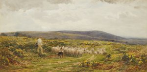 A Herefordshire Common, 1860-1900.