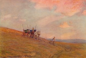 On the Downs nær Harting, c1870-1906, 1906.