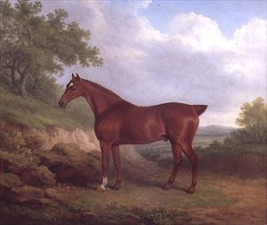 A Chestnut Thoroughbred (olje på lerret)