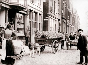 Dogcart, Antwerpen, 1898.